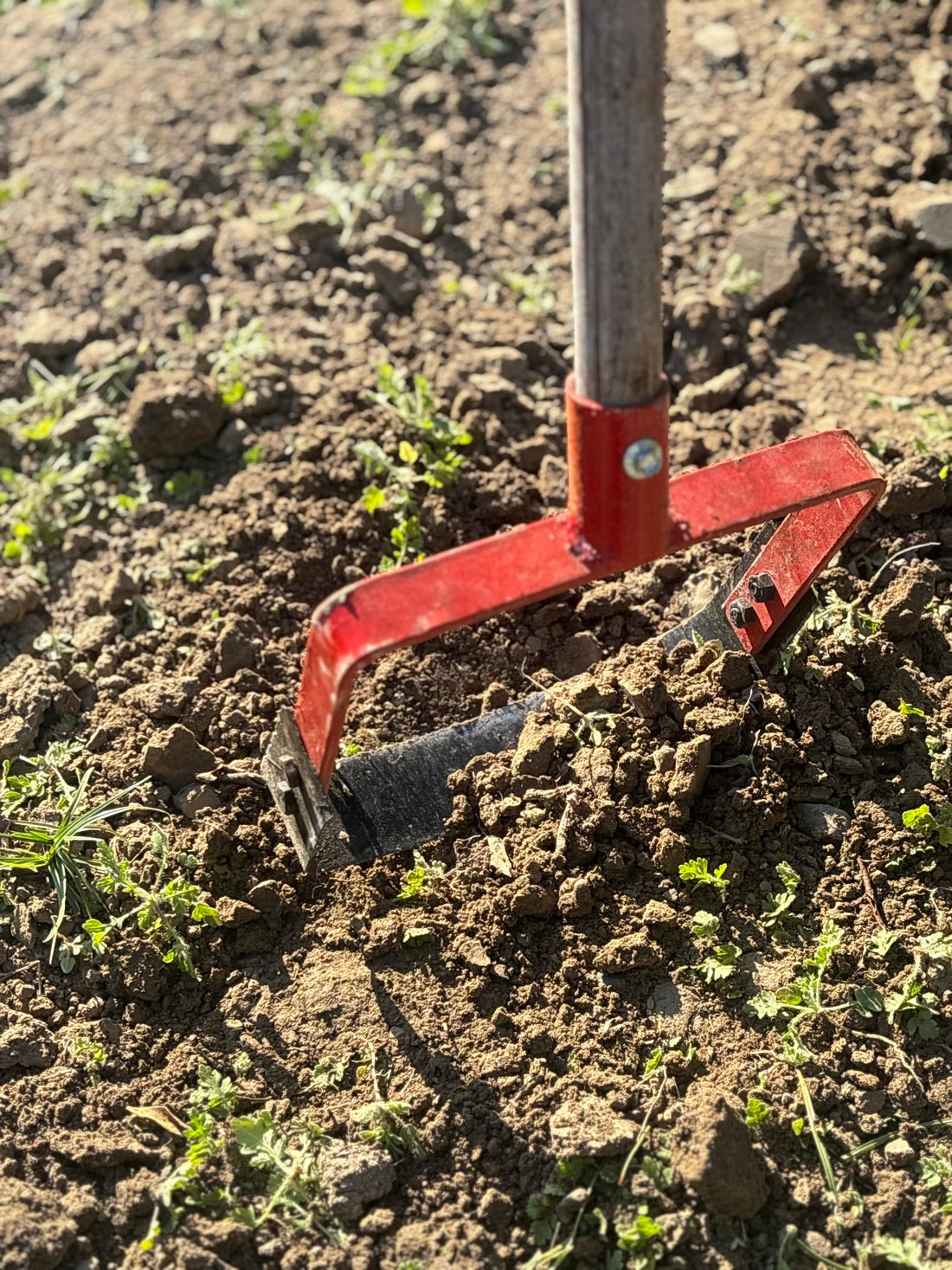 AgriGlide Pro Weeder