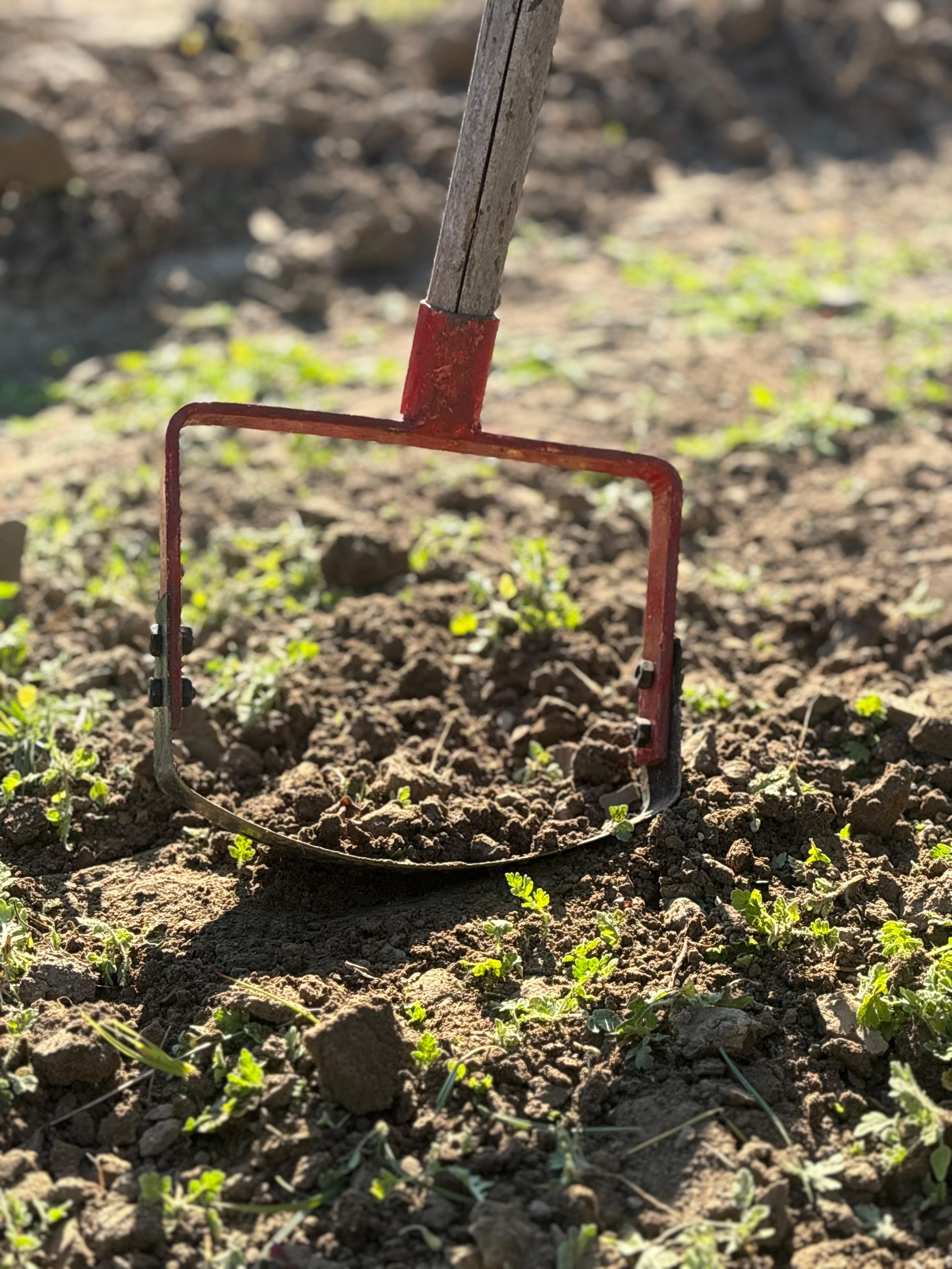 AgriGlide Pro Weeder