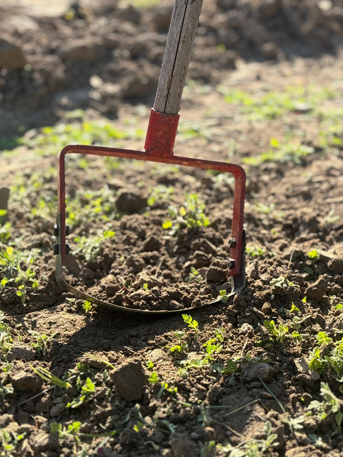 AgriGlide Pro Weeder