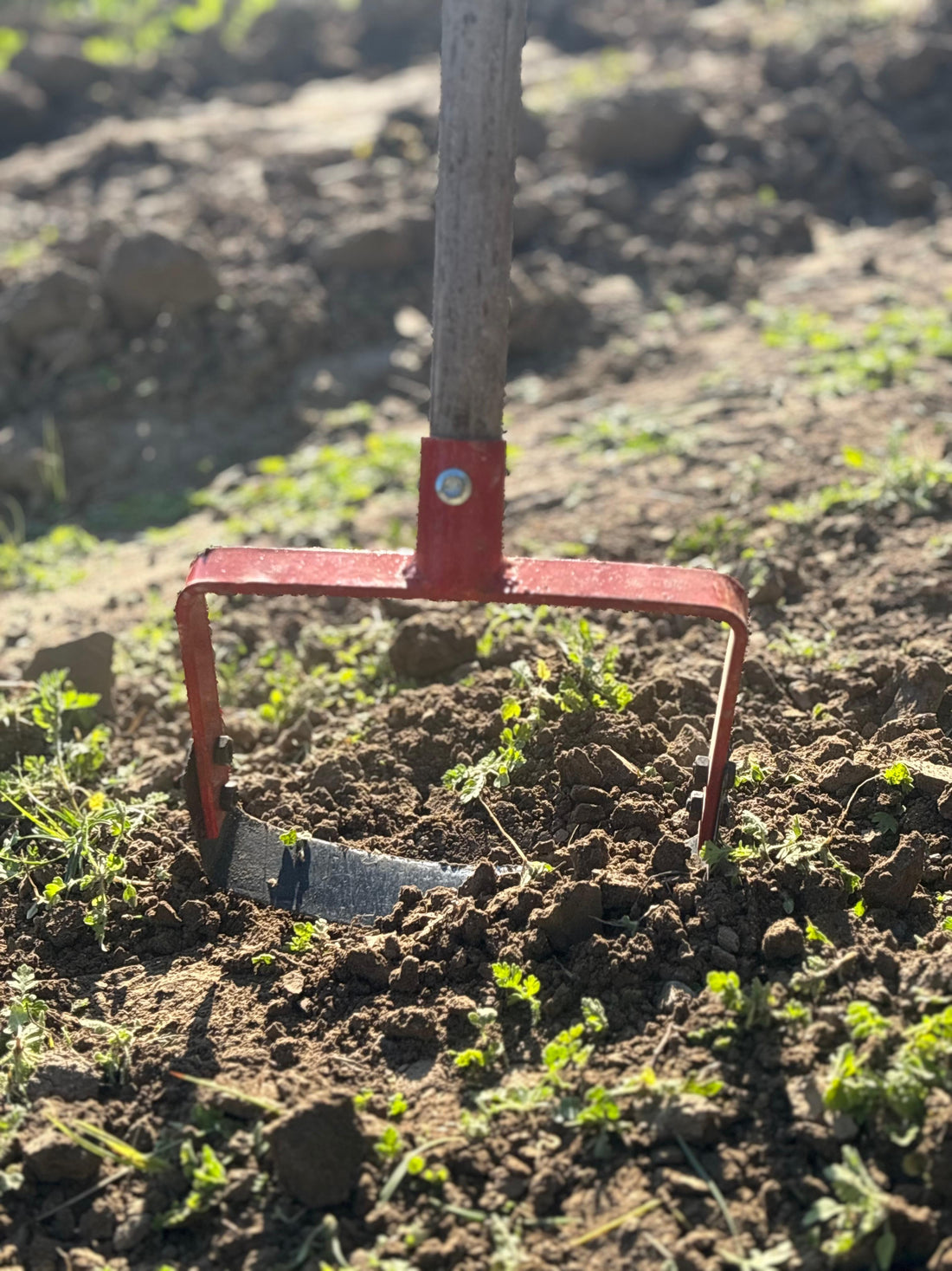 AgriGlide Pro Weeder