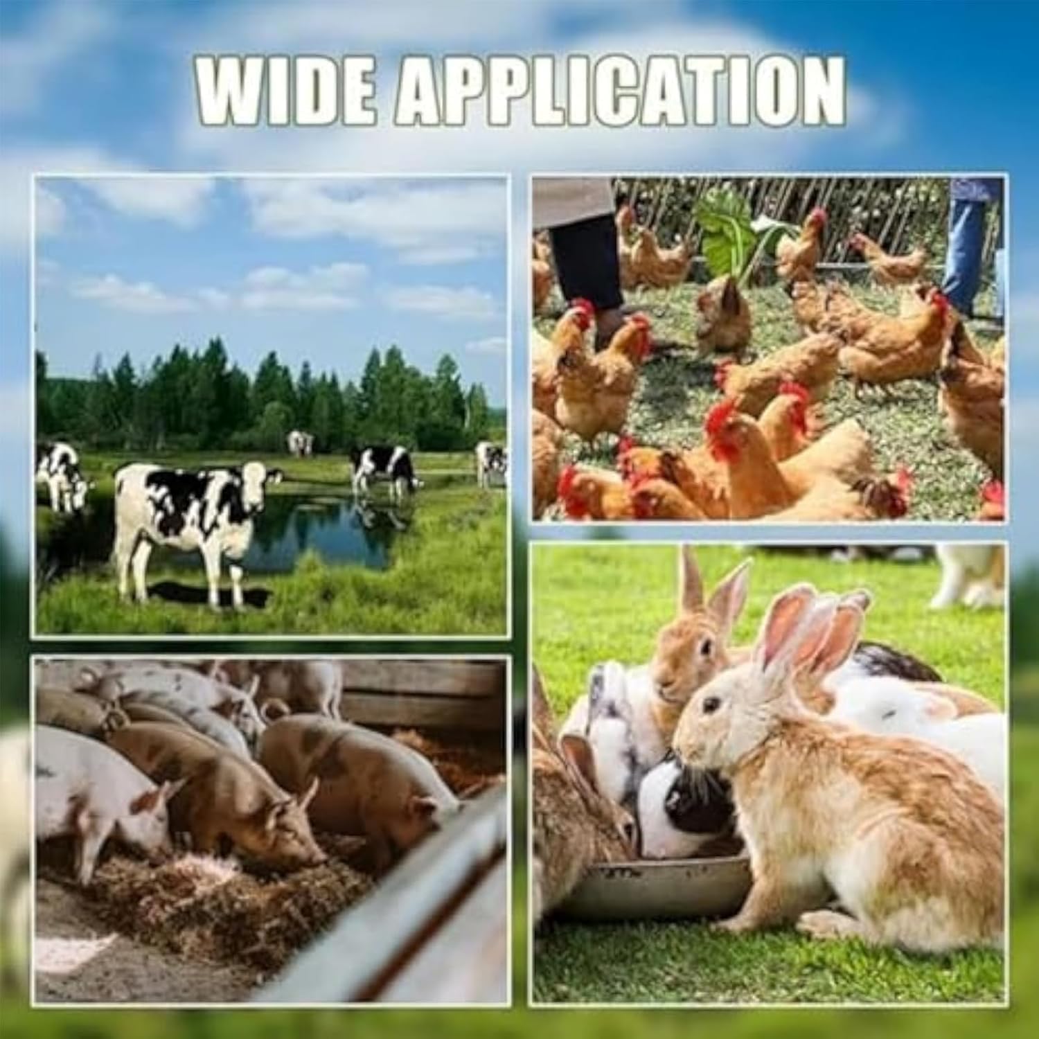 Heavy Duty Grass Shredder for Animal Feed & Home Farming